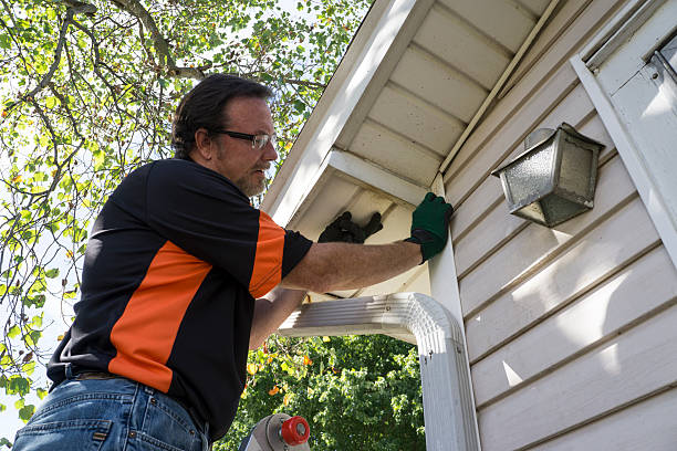 Affordable Siding Repair and Maintenance Services in Volo, IL